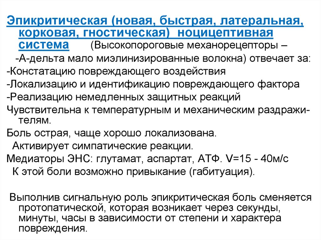 Схему структурной организации восприятия первичной локализованной боли эпикритической