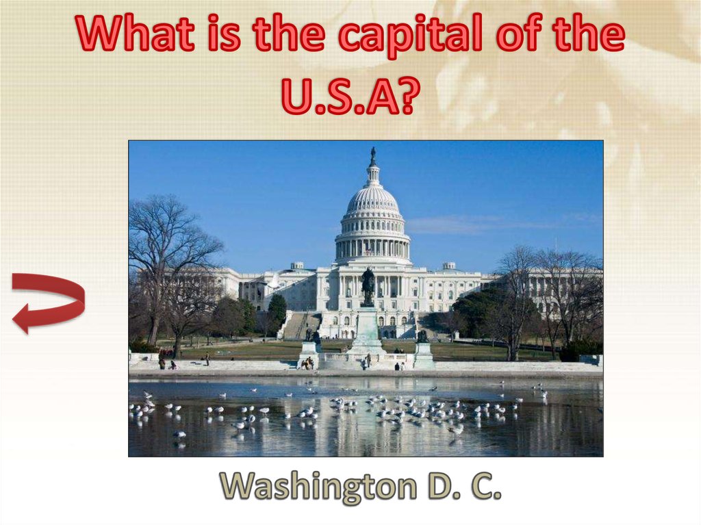 What is the capital of the U.S.A?