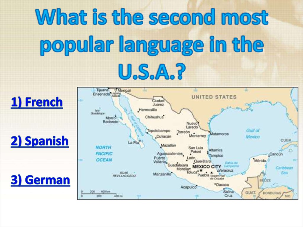What is the second most popular language in the U.S.A.?