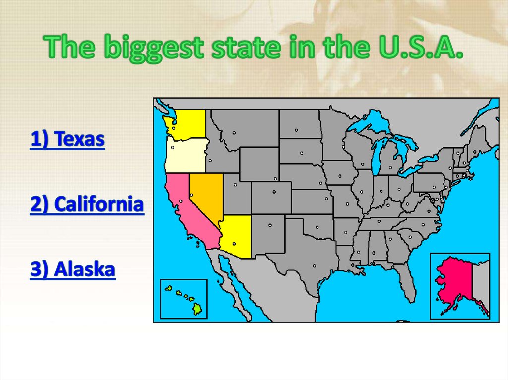 The biggest state in the U.S.A.