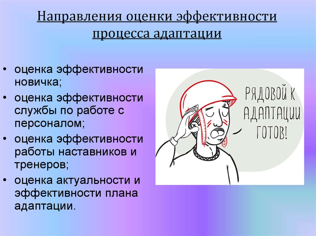 Оценка адаптации. Оценка актуальности и эффективности плана адаптации. Оценка новичков.