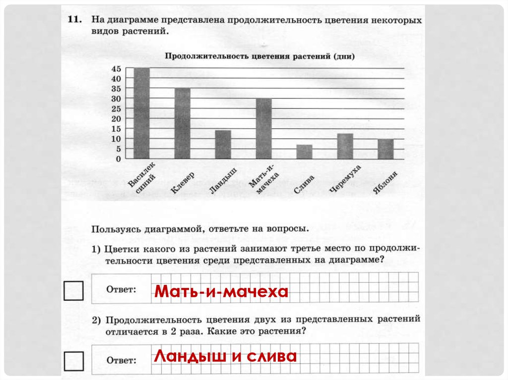 На диаграмме представлены данные