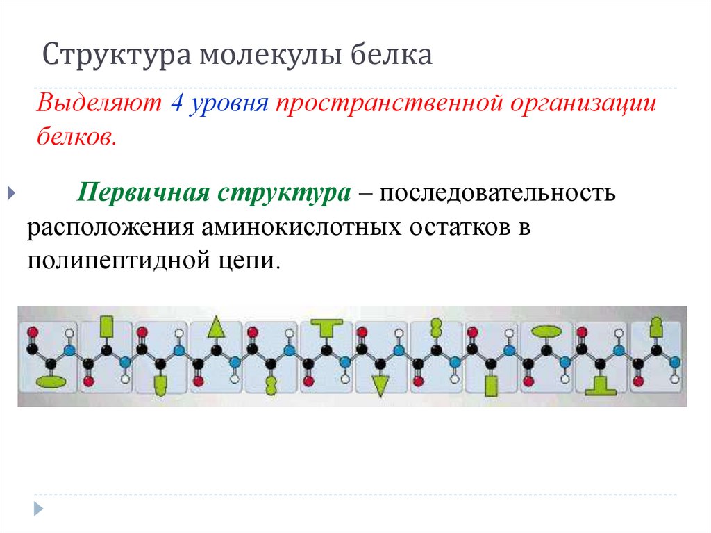 Уровень пространственной организации