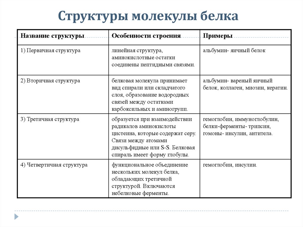 Особенности строения и функций белков. Структура белков таблица. Структура белка характеристика таблица. Характеристика первичной структуры белка. Первичная структура белка примеры.