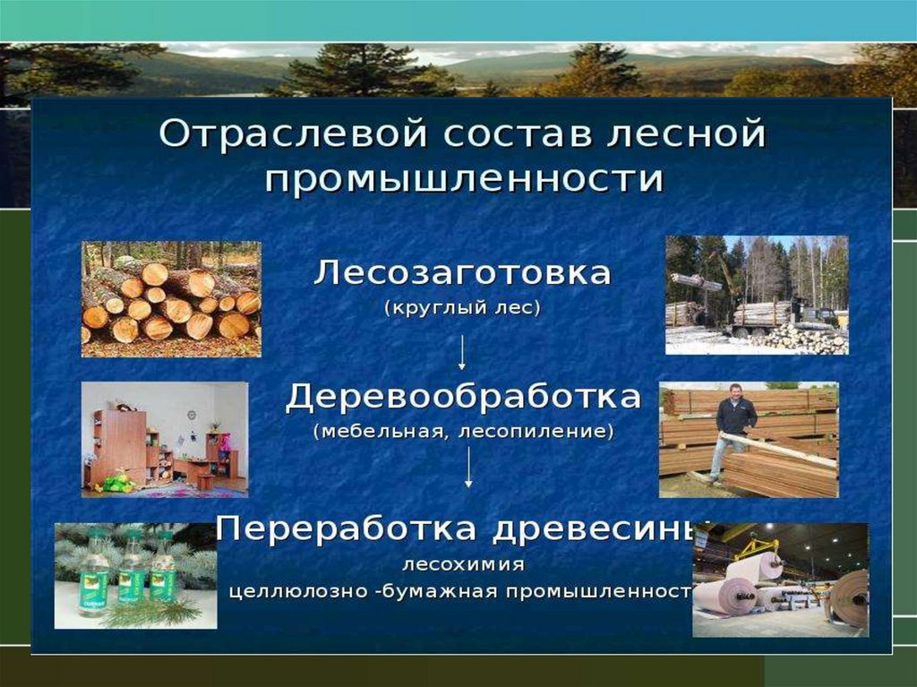 Лесная промышленность презентация