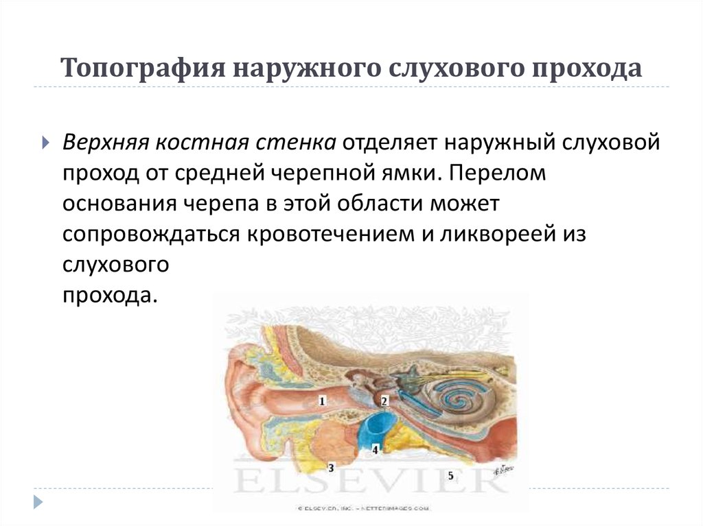 Уход за наружным слуховым проходом