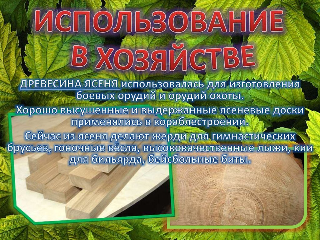 ИСПОЛЬЗОВАНИЕ В ХОЗЯЙСТВЕ