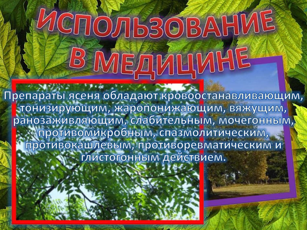 ИСПОЛЬЗОВАНИЕ В МЕДИЦИНЕ