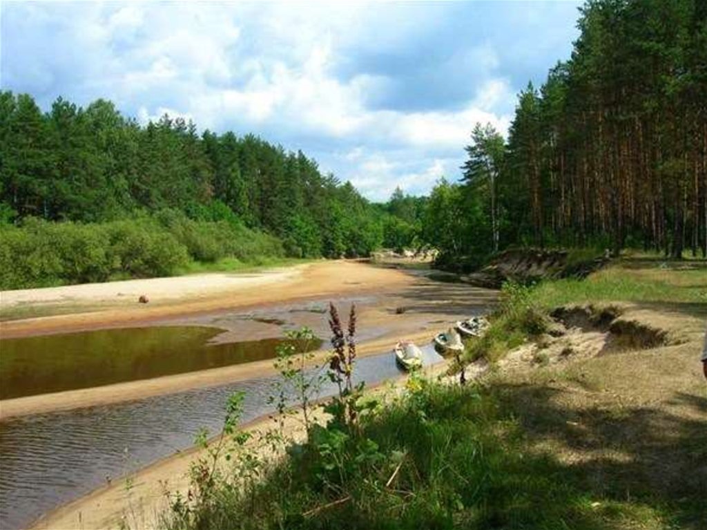 Река стоянка. Пересохшие реки России. Пересохшая речка в России. Пересохшашии реки Росси. Высыхающие реки России.