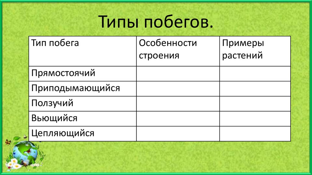 2 особенности строения. Типы побегов таблица. Особенности строения примеры. Типы особенности строения и примеры. Побеги особенности примеры.