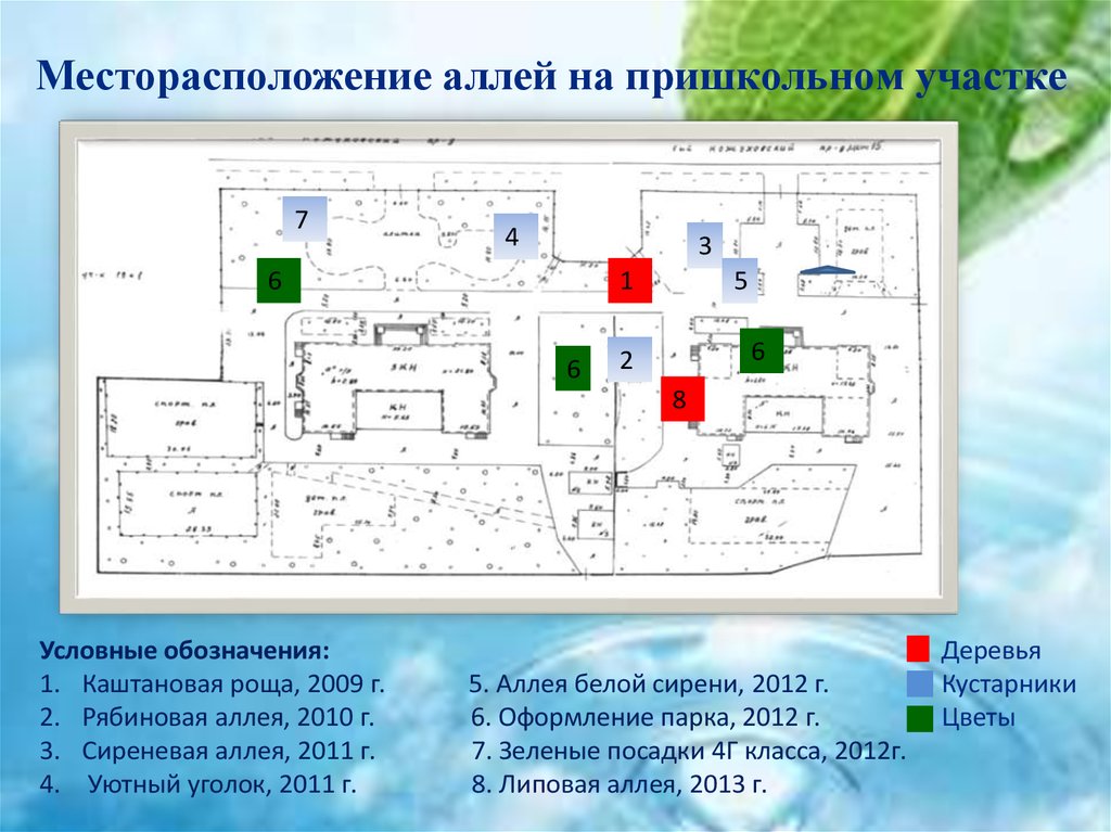 План пришкольного участка 5 класс