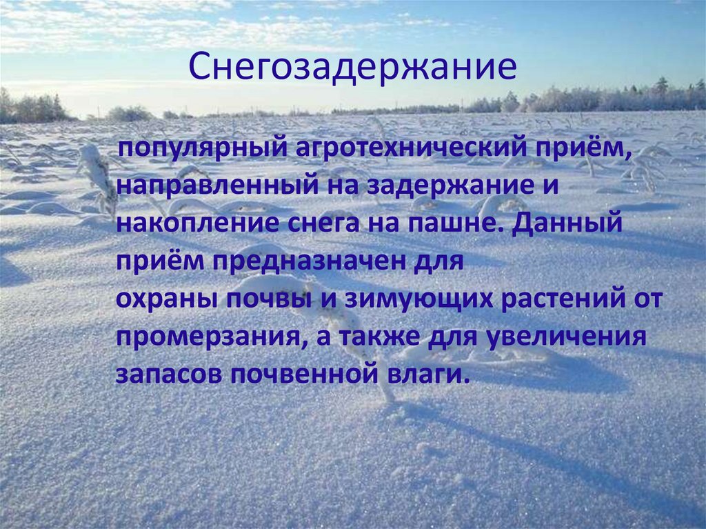 Снегозадержание в зимнее время. Снегозадержание зимой. Снегозадержание на полях. Охрана почвы снегозадержание. Снегозадержание снежные валы.