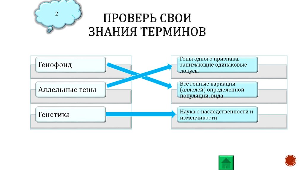 Знание терминологии. Тест на знания термина информация. Старое знание – понятие. Какие бывают проверки знаний терминов. Заполните таблицы контроль знаний терминологии.