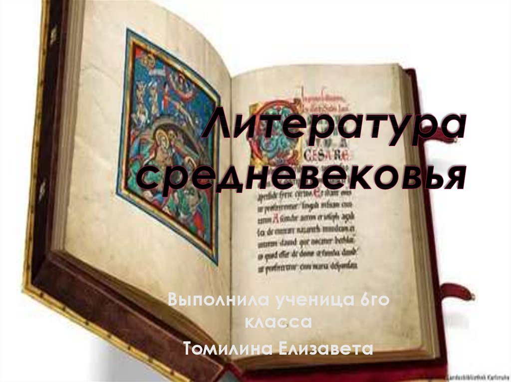 Литература средневековья