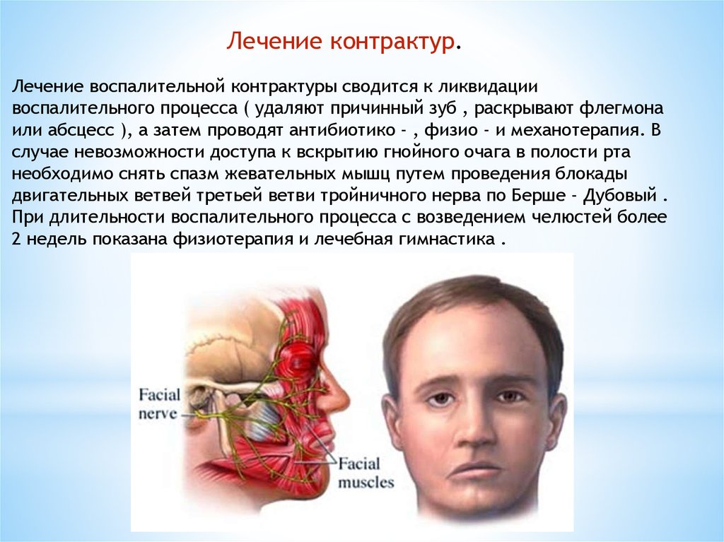 Резекция жевательных мышц фото до и после