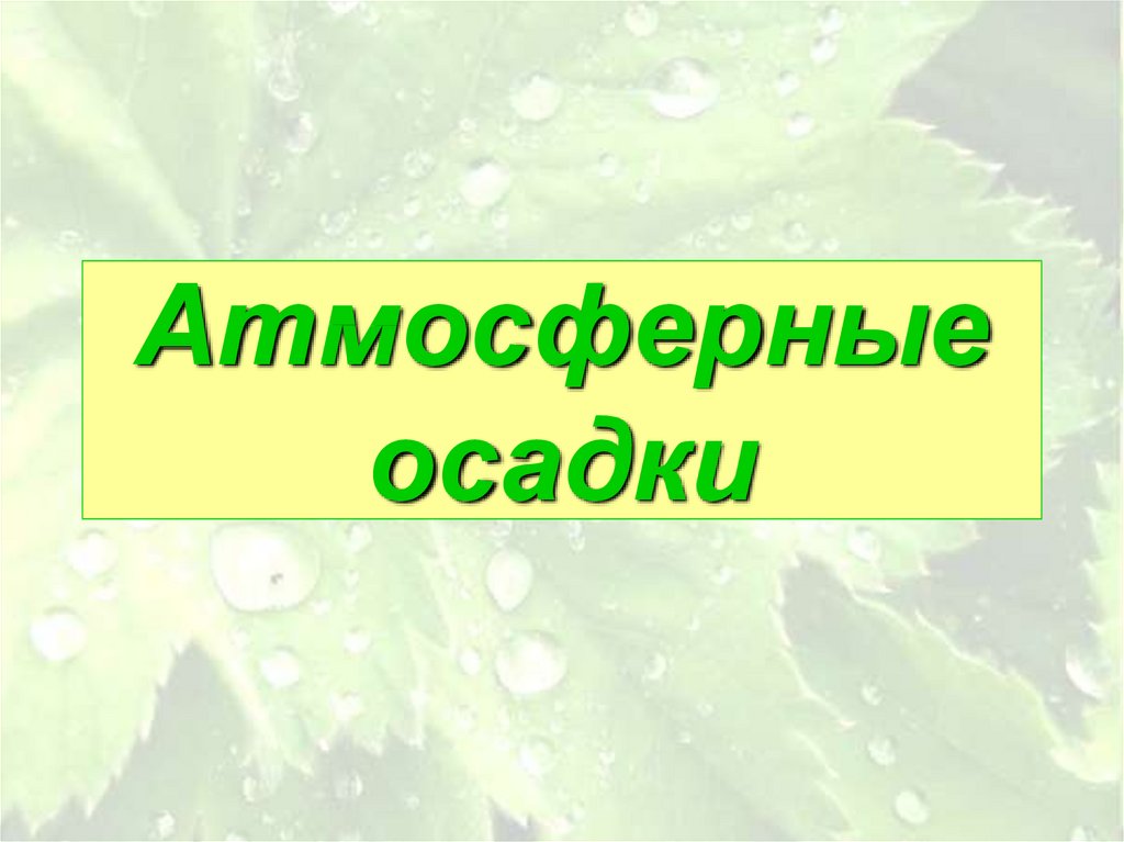 Осадки 8 апреля