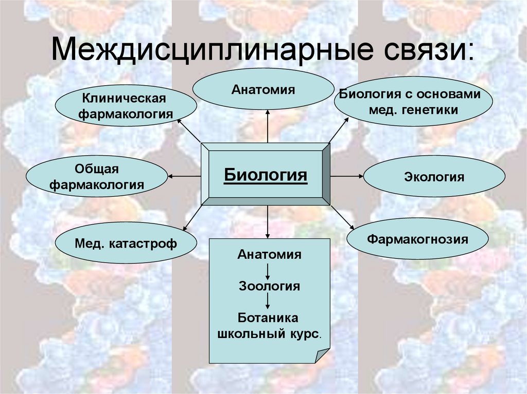 Строение ядра, его роль для клетки и организма. Кариотип организма - презентация онлайн