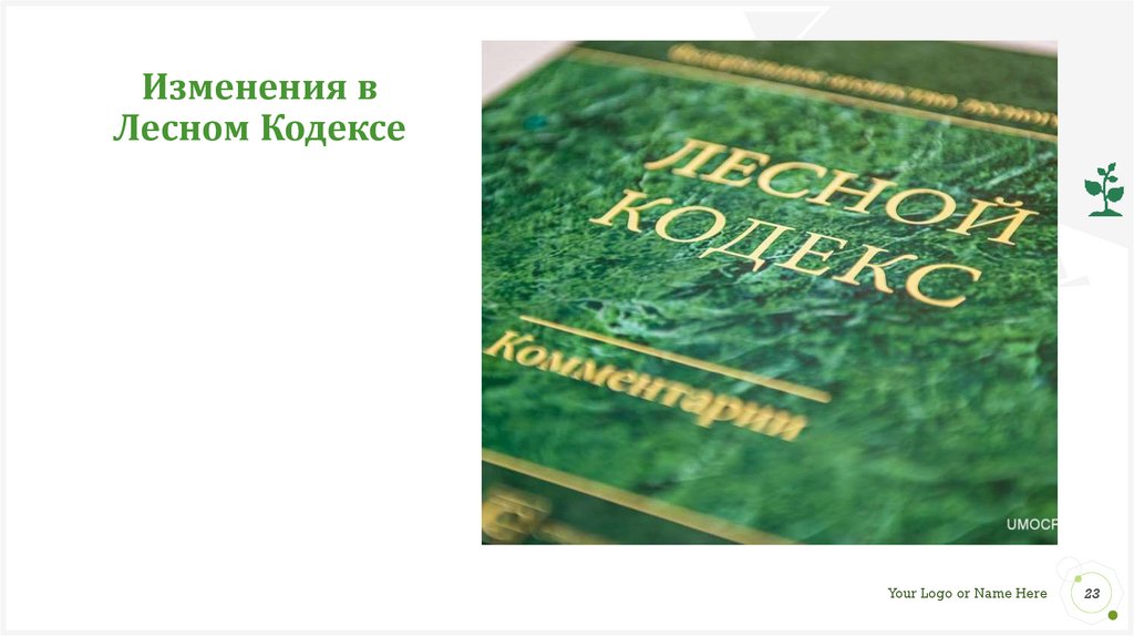 Древесина лесной кодекс. Изменения в Лесной кодекс. Лесной кодекс Российской Федерации книга. Лесной кодекс РФ картинки. Водный земельный Лесной кодекс РФ.