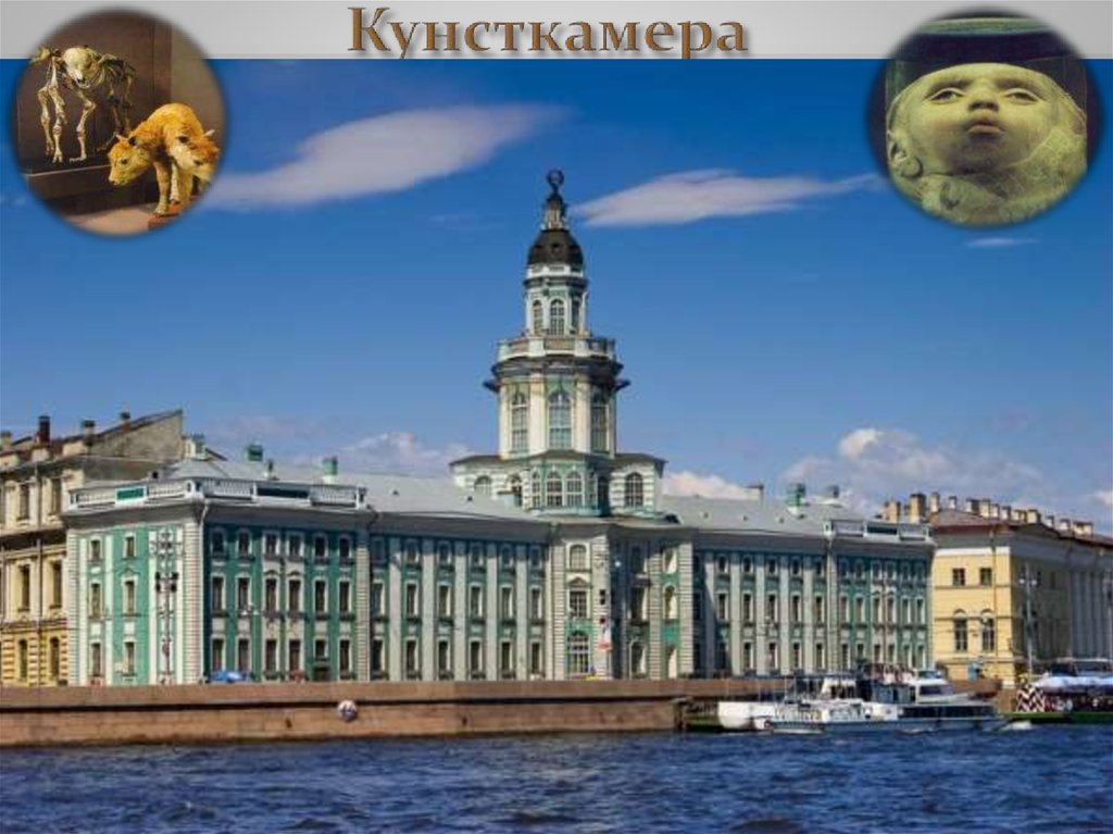 Кунсткамера