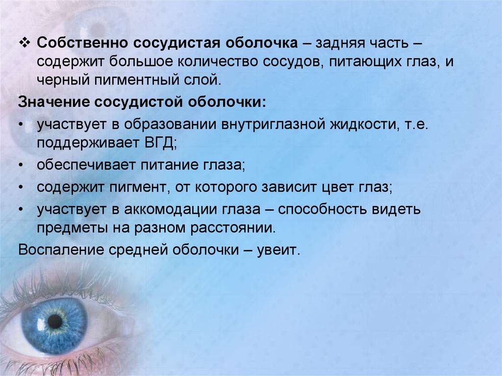Цвет глаза зависит от пигмента. Пилокарпин зрачок. Питание для глаз. Пилокарпин действие на зрачок. Влияние пилокарпина на зрачок.