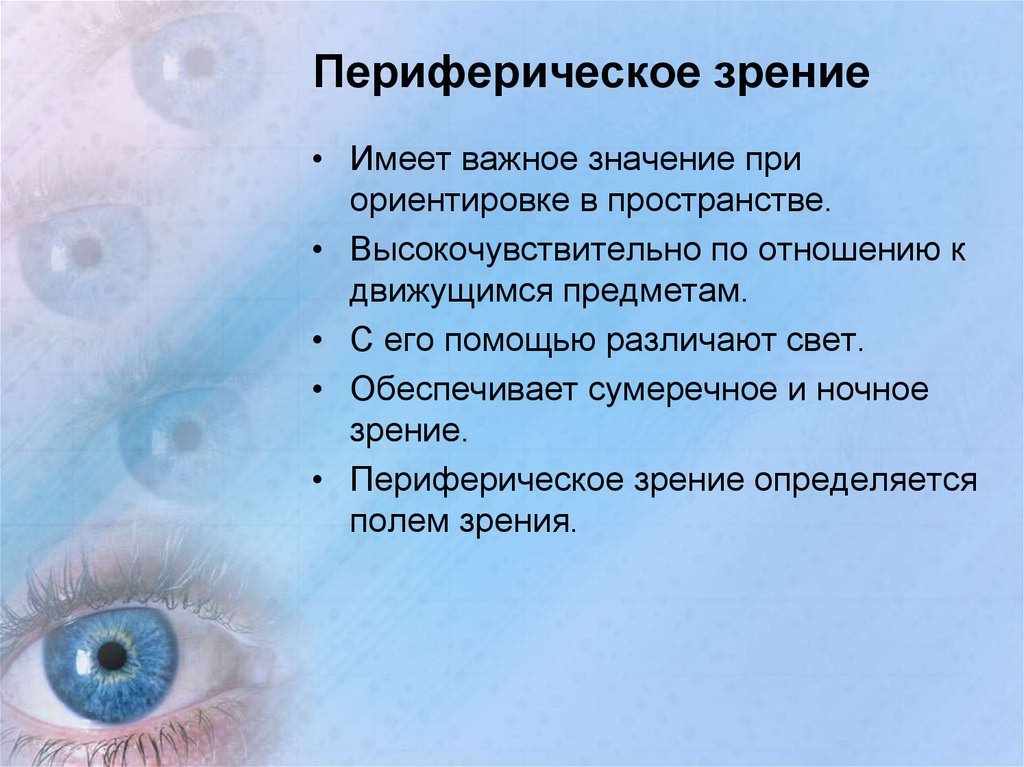 Таблица Д.А. Сивцева