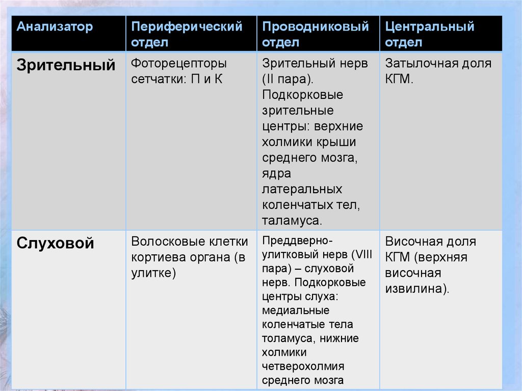 Общий план строения и значение анализатора таблица