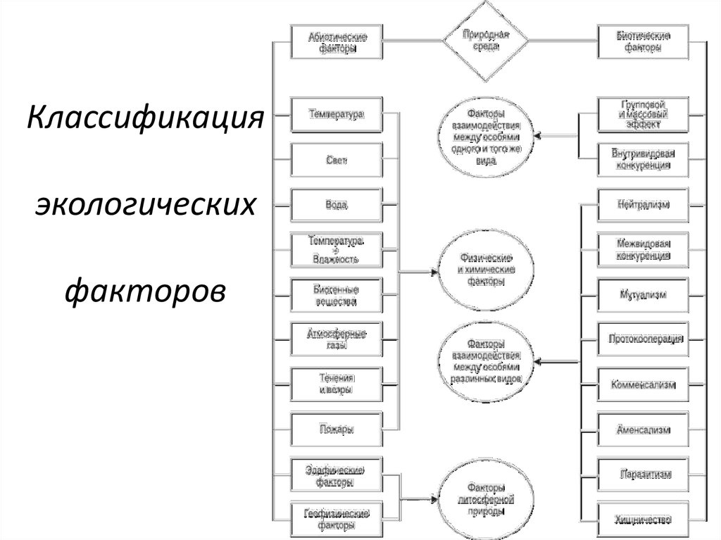 Схема классификации экологических факторов