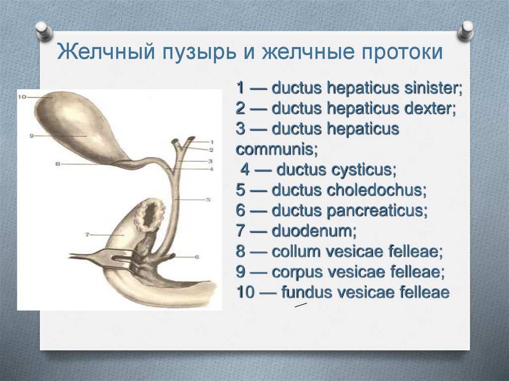 Острый холецистит карта