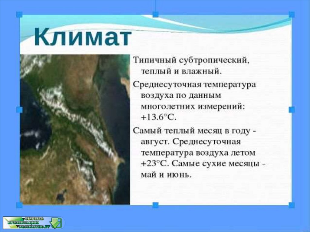 Презентация на тему природные зоны субтропических поясов 7 класс