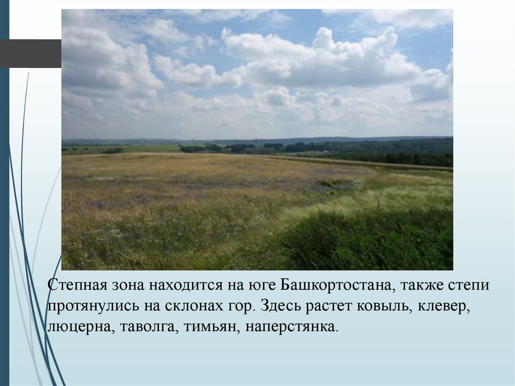 В какой природной зоне расположена республика башкортостан