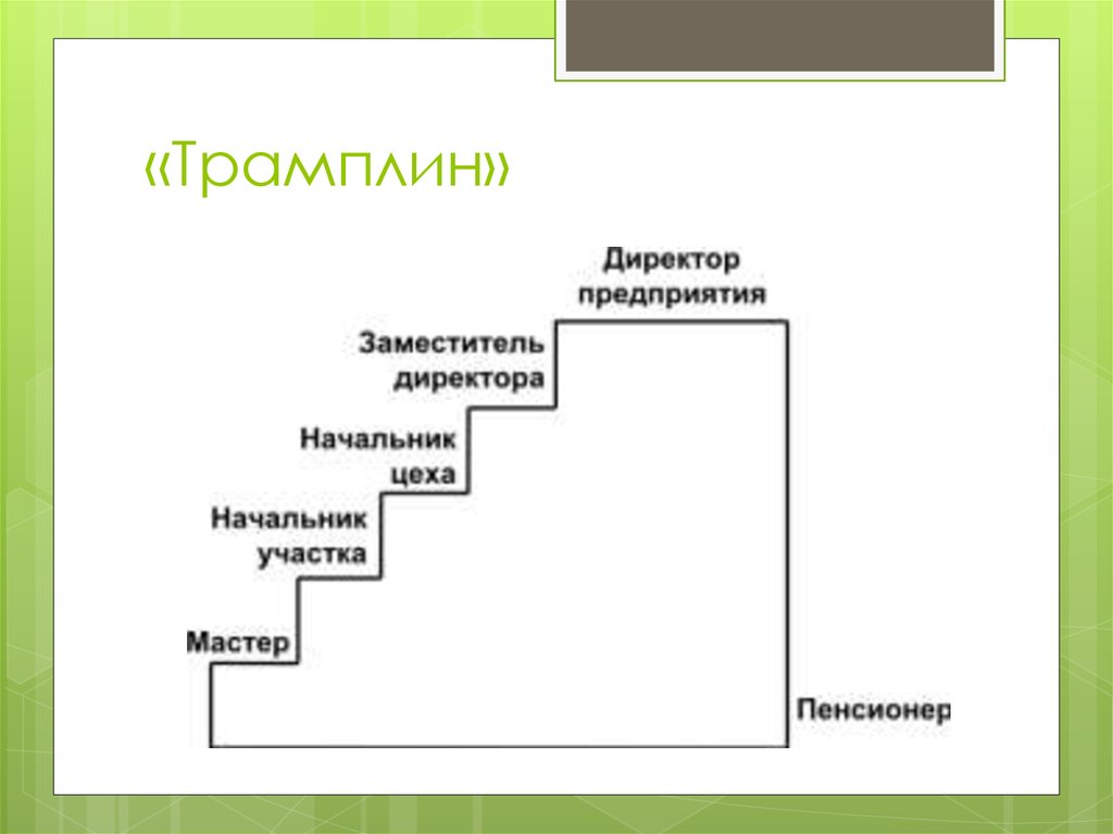 Модели карьеры. Модель карьеры менеджера. Модель трамплин. Модель карьеры трамплин пример. Модели деловой карьеры трамплин.