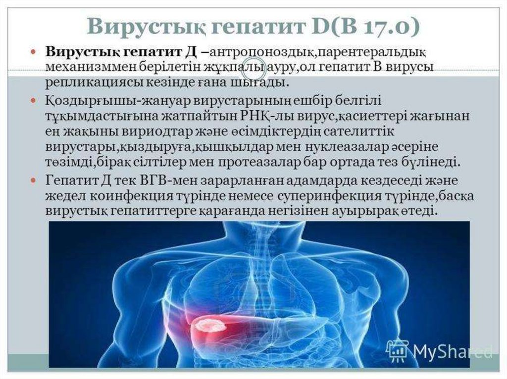 Гепатит d презентация