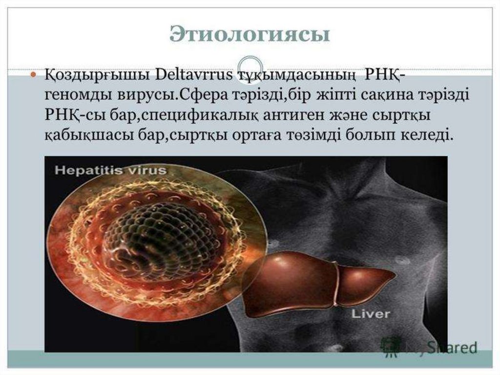 Вирусный гепатит а у детей. Гепатит d презентация. Вирус гепатита д. Гепатит д внутренние болезни презентация. Гепатит картинки для презентации.