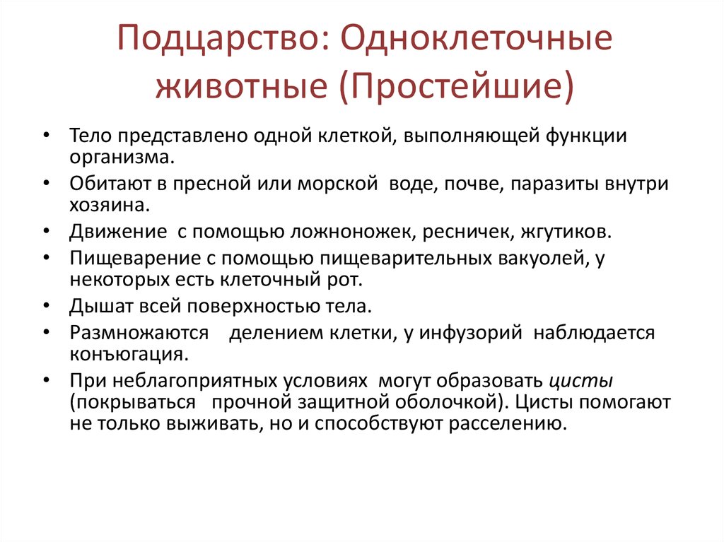 Подцарство простейшие презентация