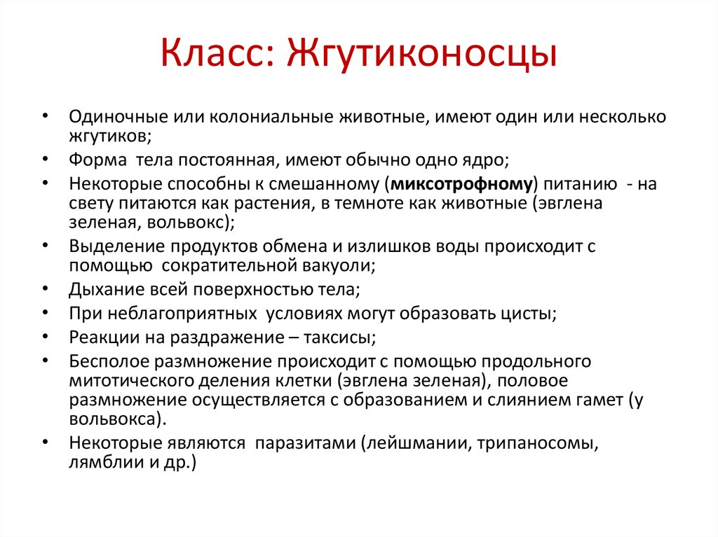 Характеристики класу. Общая характеристика жгутиконосцев кратко. Характеристика класса жгутиконосцы. Тип жгутиконосцы общая характеристика. Общая характеристика жгутиконосцев 7 класс.