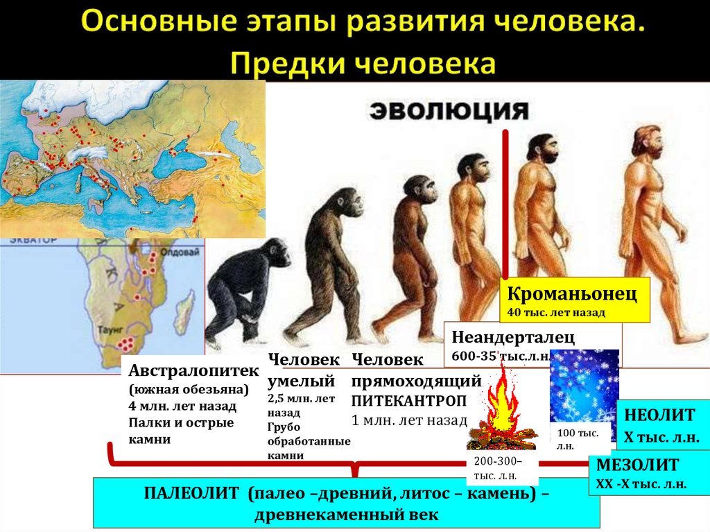 Основные виды человека. Этапы эволюции человека,хомо сапиенс. Хомо сапиенс стадии развития. Этапы эволюции хомо сапиенс. Эволюция человека и этапы развития неандерталец кроманьонец.