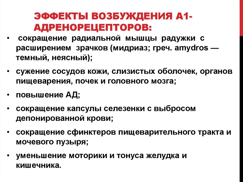 Действие возбуждения. Эффекты возбуждения в1 адренорецепторов. Эффекты возбуждения адренорецепторов на органы. Эффекты при возбуждении адренорецепторов. Эффекты возбуждения адренорецепторов таблица.