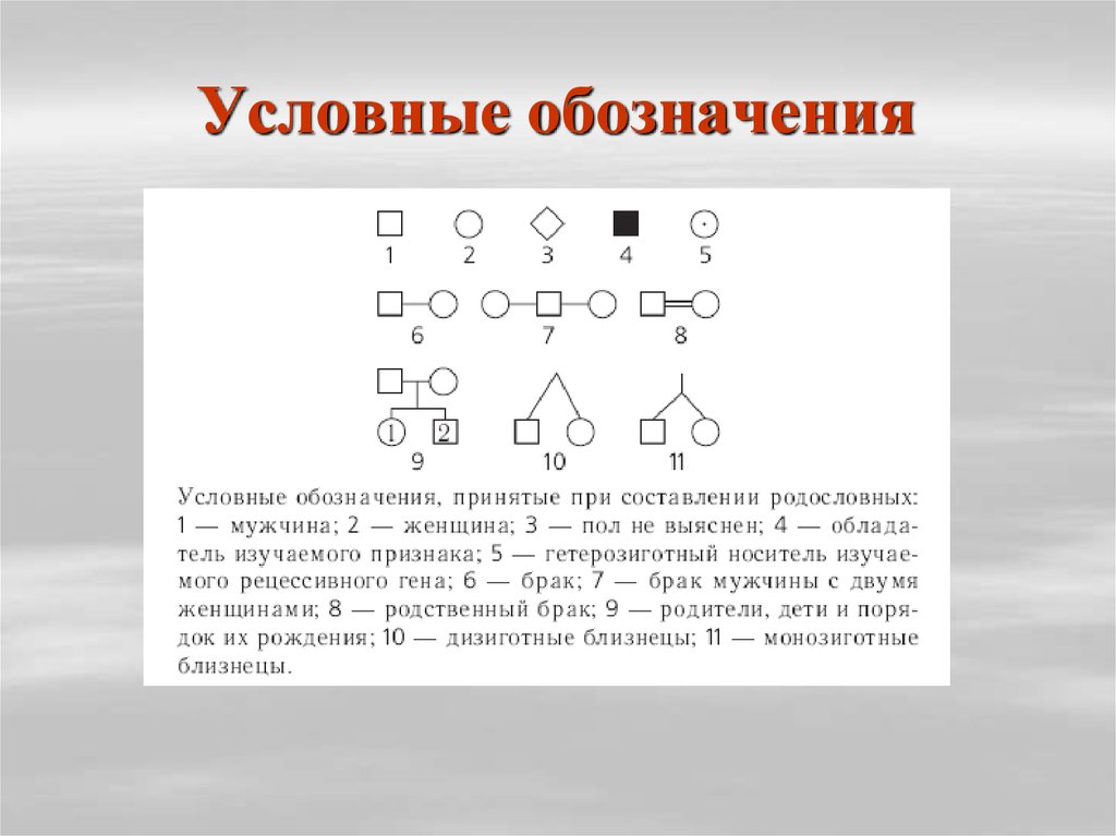 Генеалогический метод исследования