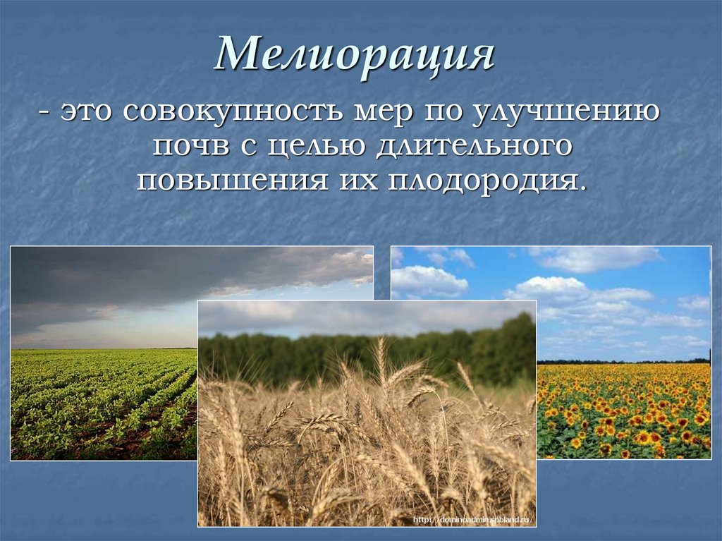 Почвенные ресурсы дальнего востока. Почвенные ресурсы России и их охрана. Почвечгые ресурсы Украины кратко.