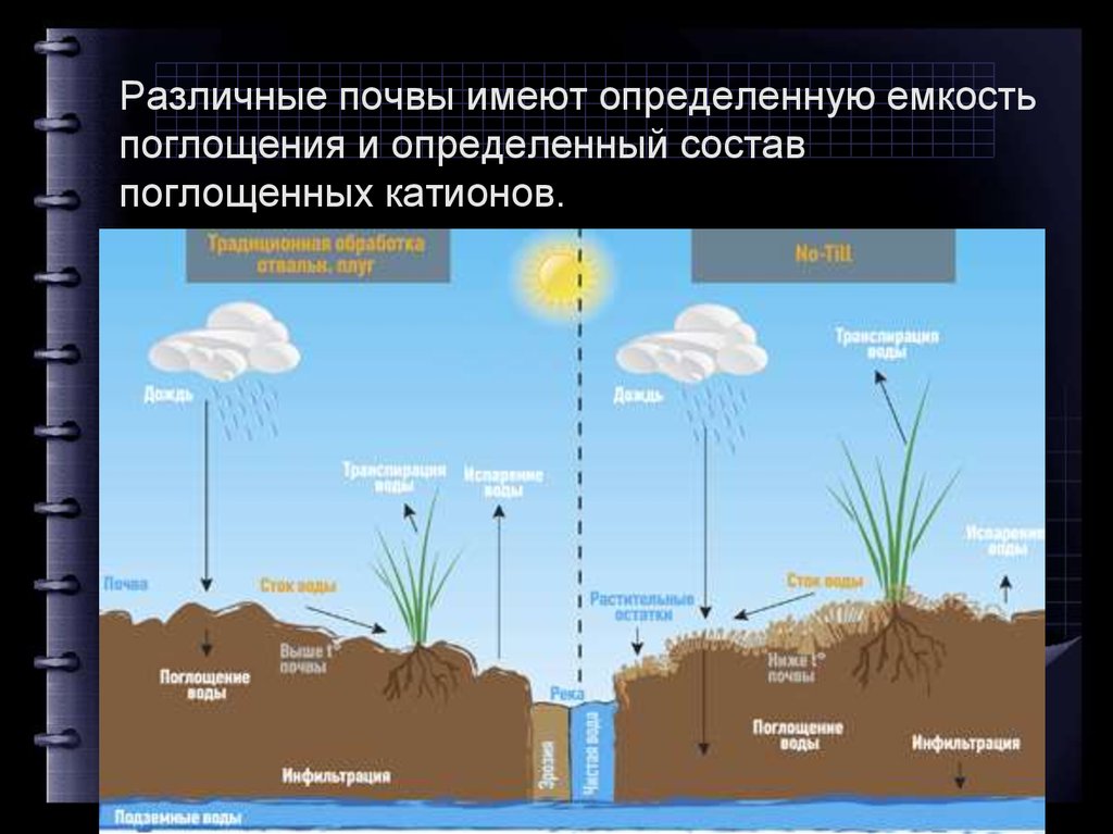 Поглощение катионов