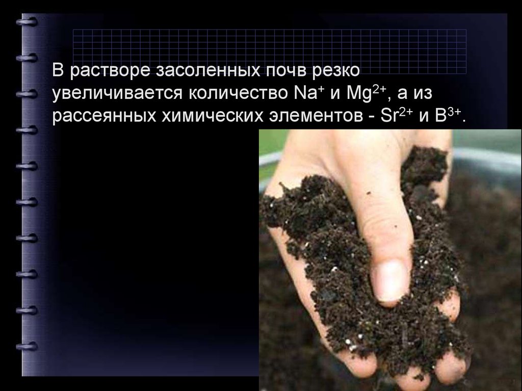 Поглощенный почвенный раствор состоящий. Поглотительная способность почвы. Впитывающая способность почвы. Поглотительные свойства почвы. Поглотительная способность почвы презентация.