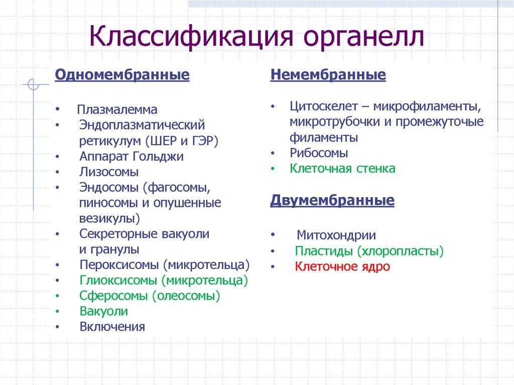 Схема органоиды одномембранные двумембранные немембранные