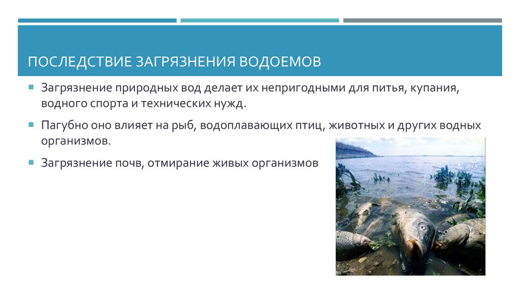 Запишите свой ответ в виде чисел загрязнители. Посдствия загрязнения водоёмов. Последствия загрязнения водоемов. Послкдствиязагрязнение водоемов. Последствия загрязнения воды для человека.