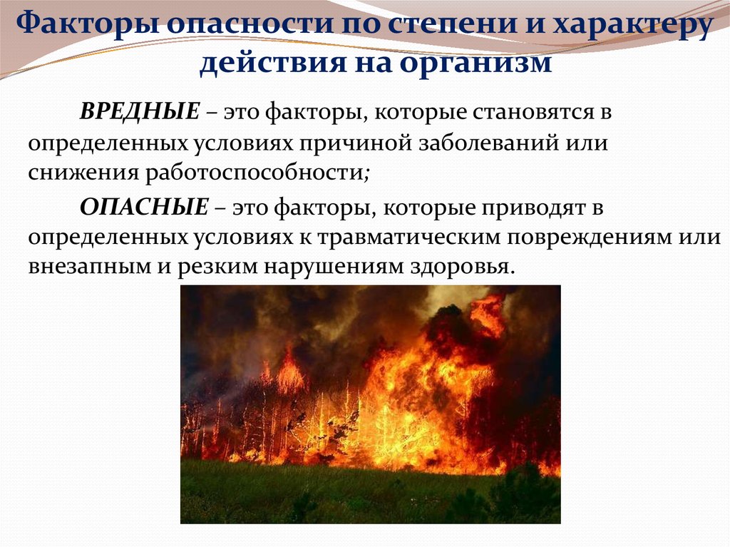 Лесной пожар относится к биологически опасным явлениям