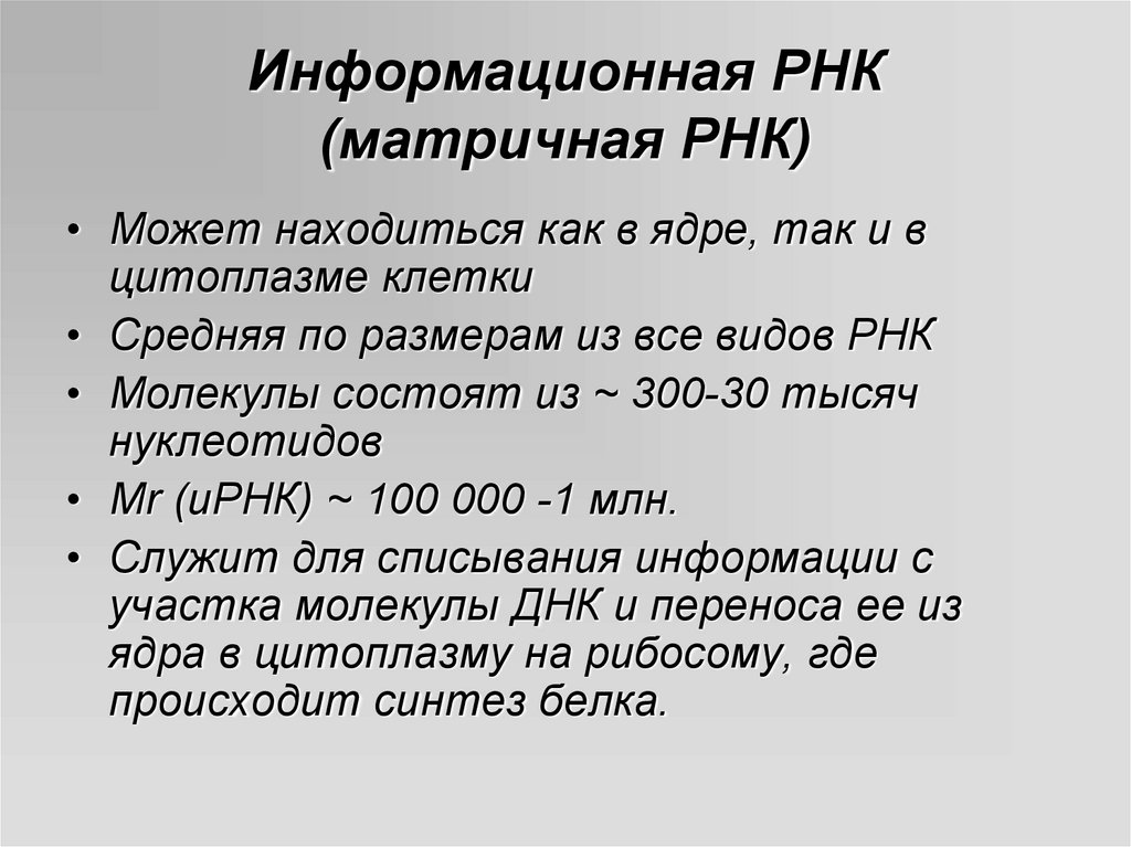 Анализ рнк что это. Информационная или матричная РНК.