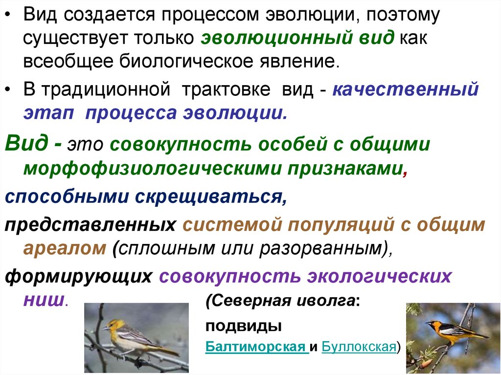 Роль изоляции в процессе видообразования. Видообразование 9 класс презентация. Этапы экологического видообразования. Видообразование презентация. Виды видообразования.