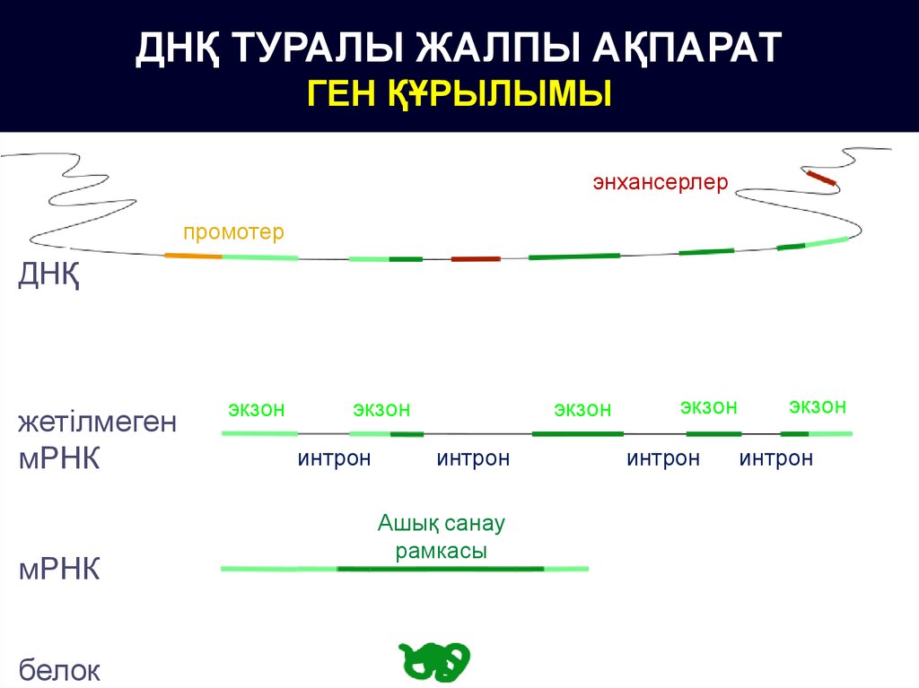 Мрнк продукты