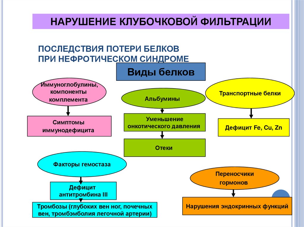 Потеря белков. Белок крови при нефротическом синдроме. Последствия потери белка при нефротическом синдроме. Нарушение секреции почек патофизиология. Белка при нефротическом синдроме.