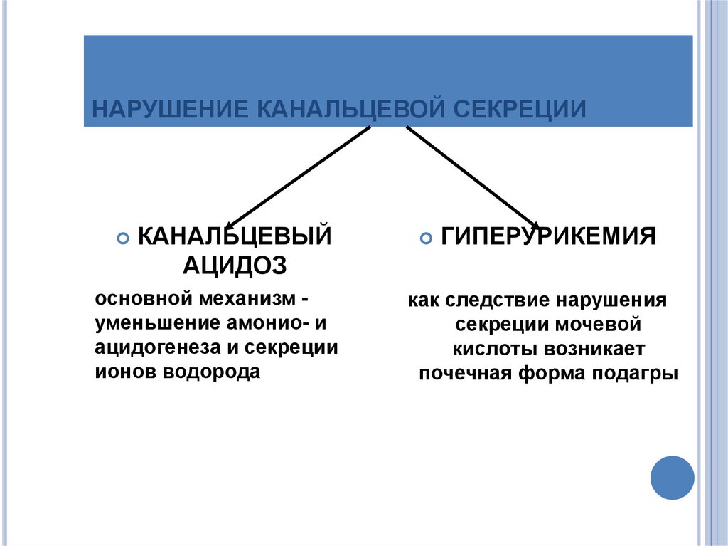 Патофизиология почек презентация