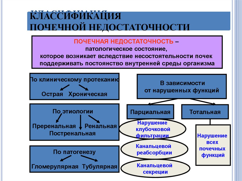 Острая и хроническая почечная недостаточность у детей презентация